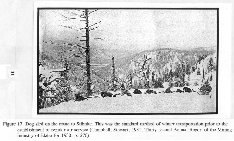 Dog Sled on Stibnite Route